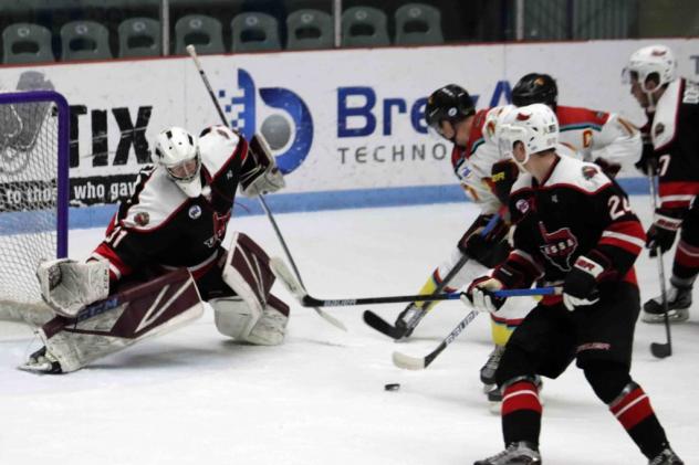 Odessa Jackalopes goaltender Connor Hasley vs. the New Mexico Ice Wolves