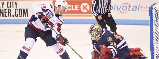 South Carolina Stingrays forward Jason Morelli vs. the Greenville Swamp Rabbits