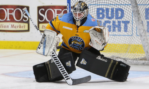 Goaltender Trevor Gorsuch with the Toledo Walleye