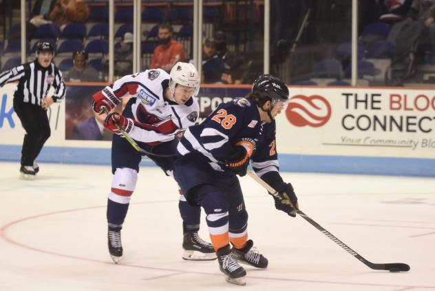 Greenville Swamp Rabbits forward Liam Pecararo (right) vs. the South Carolina Stingrays