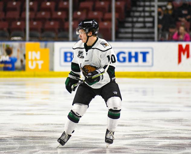 Utah Grizzlies forward Matthew Boucher