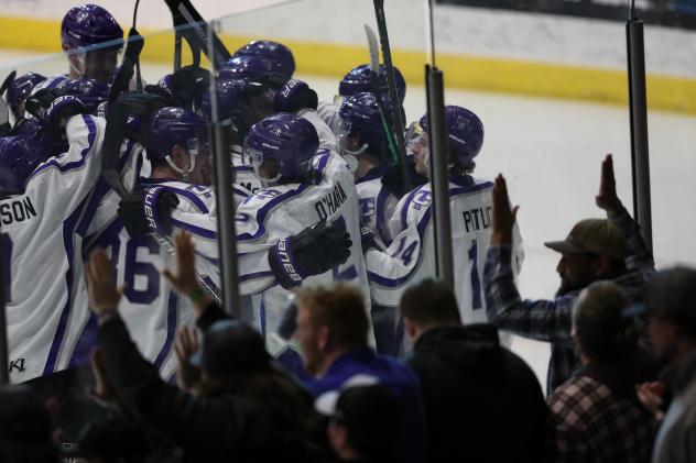 Tri-City Storm celebrate a goal against the Omaha Lancers