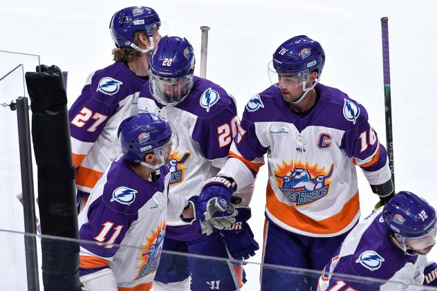 Orlando Solar Bears along the bench