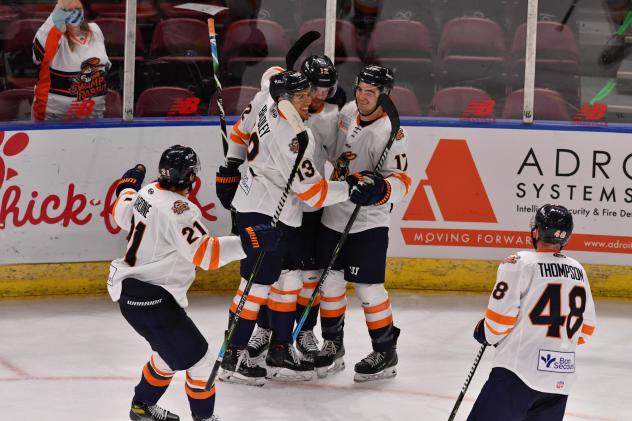 Greenville Swamp Rabbits celebrate a goal