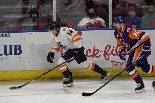 Greenville Swamp Rabbits forward Luc Brown (left) vs. the Orlando Solar Bears