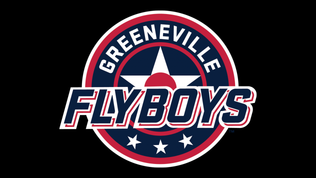 Greeneville Flyboys primary logo