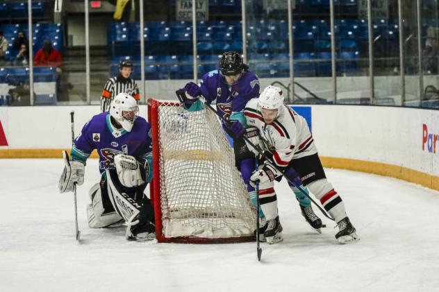 Odessa Jackalopes test the Shreveport Mudbugs net