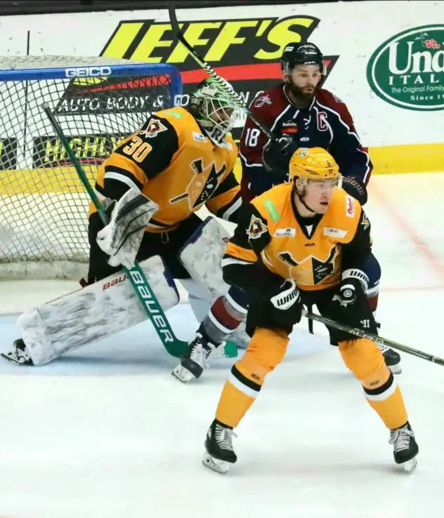 Wheeling Nailers goaltender Francois Brassard vs. the Tulsa Oilers