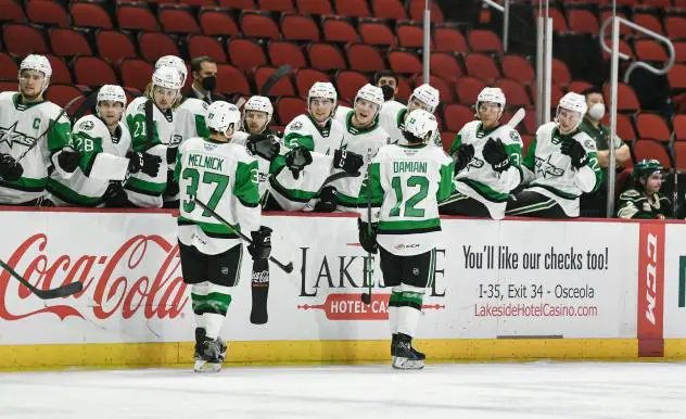 Texas Stars celebrate along the bench