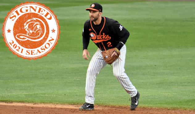 Long Island Ducks infielder Steve Lombardozzi