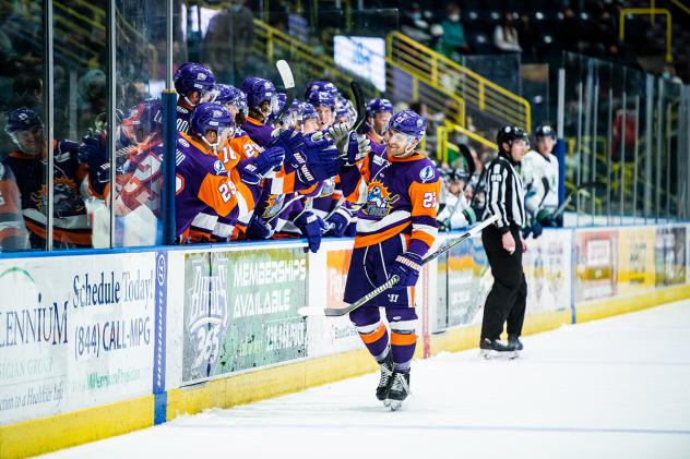 Orlando Solar Bears exchange congratulations along the bench