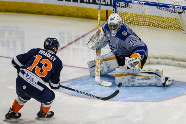 Matt Bradley of the Greenville Swamp Rabbits scores against the Jacksonville Icemen