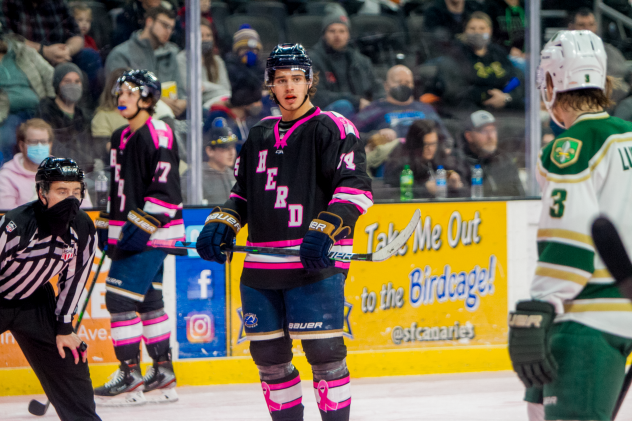 Cole Sillinger of the Sioux Falls Stampede
