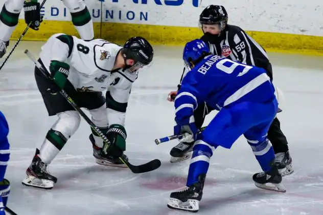 Wichita Thunder face off against the Utah Grizzlies