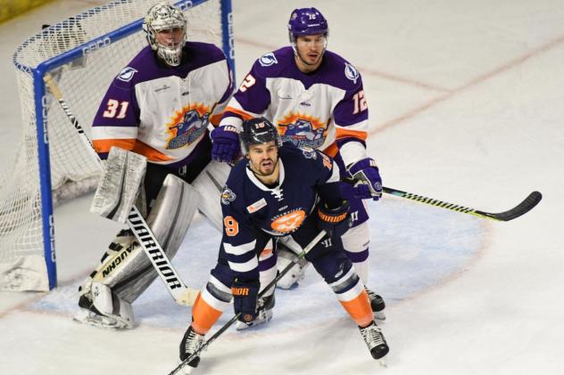 Orlando Solar Bears goaltender Michael Lackey and defenseman Mark Auk vs. the Greenville Swamp Rabbits