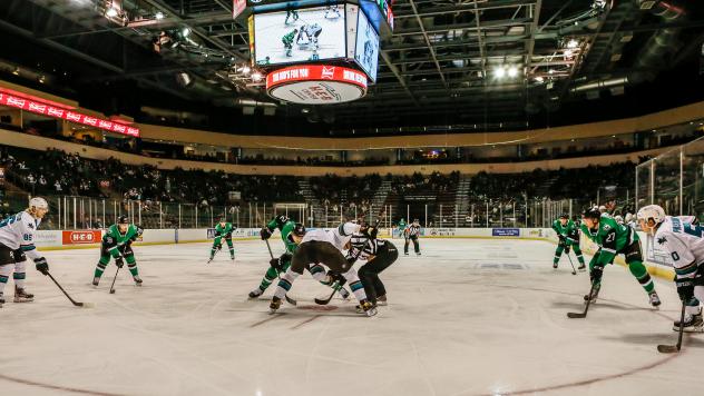 Texas Stars vs. the San Jose Barracuda