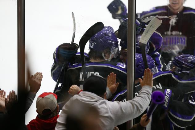 Tri-City Storm celebrate a goal along the boards