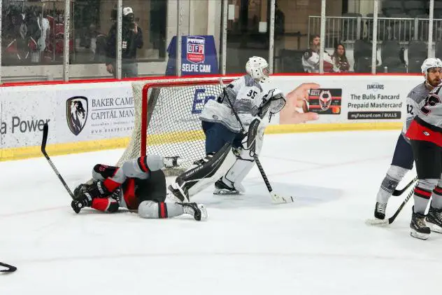 Birmingham Bulls vs. the Pensacola Ice Flyers