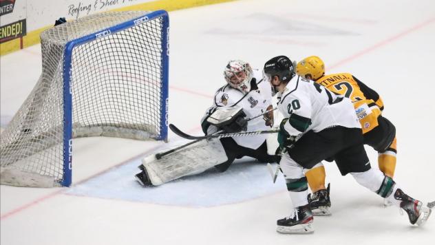 Wheeling Nailers score against the Utah Grizzlies