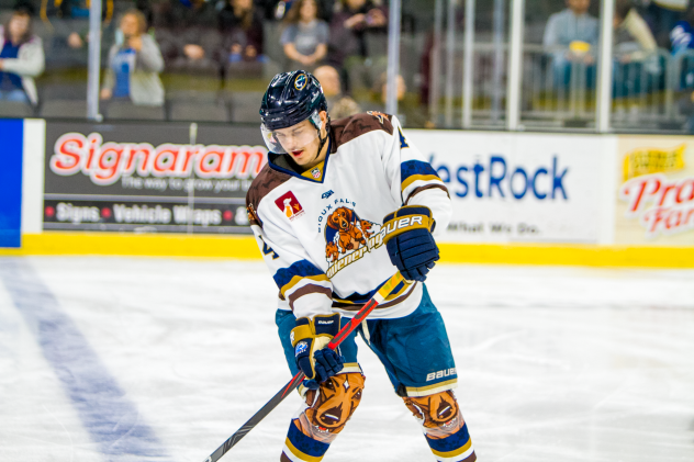 Sioux Falls Stampede in their Fighting Wiener Dogs uniforms