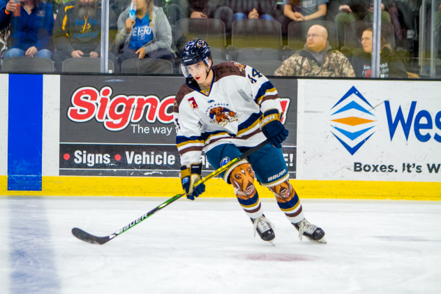 Sioux Falls Stampede in their Fighting Wiener Dogs uniforms