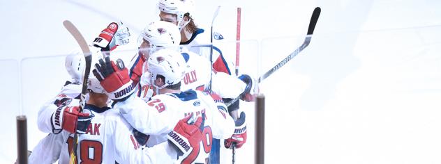 South Carolina Stingrays celebrate a goal