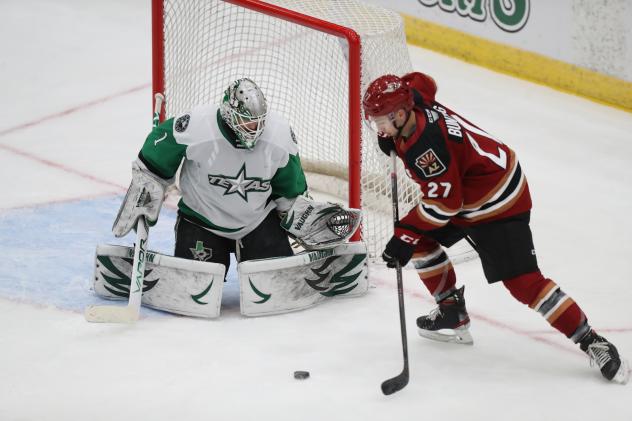 Texas Stars goaltender Tomas Sholl vs. the Tucson Roadrunners