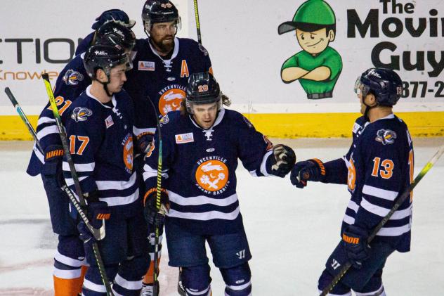 Greenville Swamp Rabbits celebrate a goal