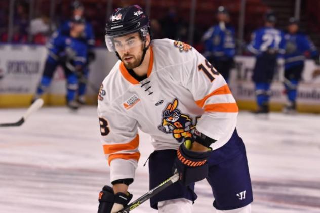 Greenville Swamp Rabbits forward Shawn Cameron