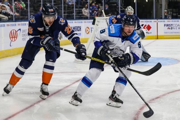 Greenville Swamp Rabbits vs. the Jacksonville Icemen