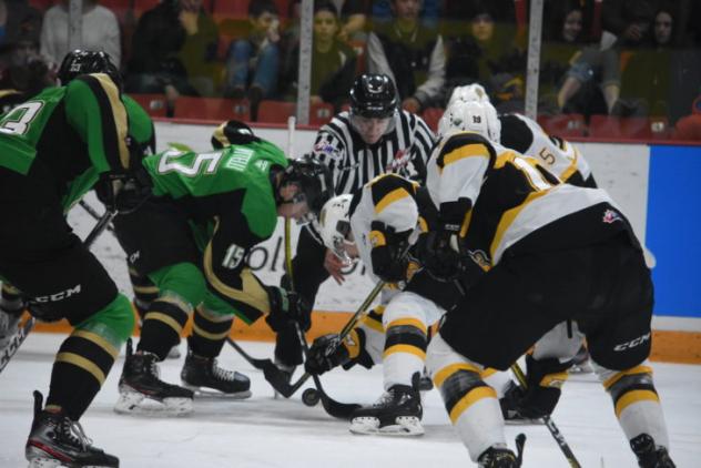 Brandon Wheat Kings vs. the Prince Albert Raiders
