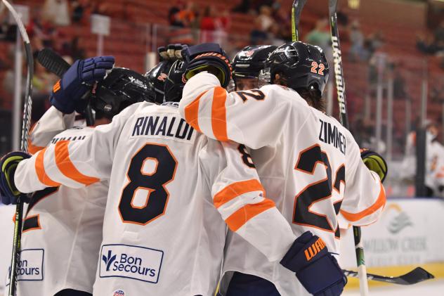 Greenville Swamp Rabbits gather after a goal