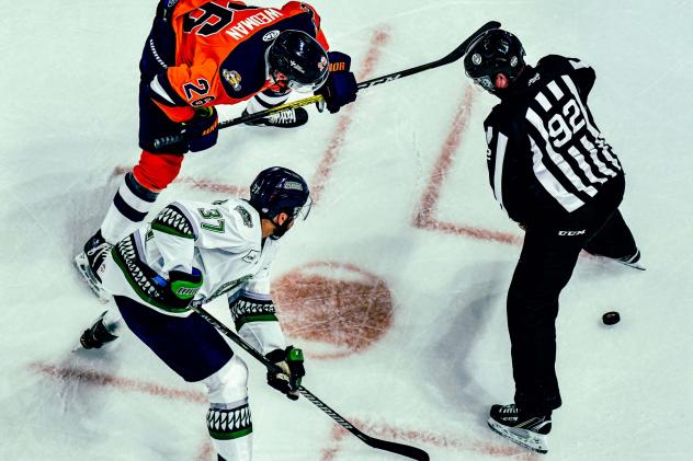Greenville Swamp Rabbits forward Matt Wedman (top) faces off with the Florida Everblades