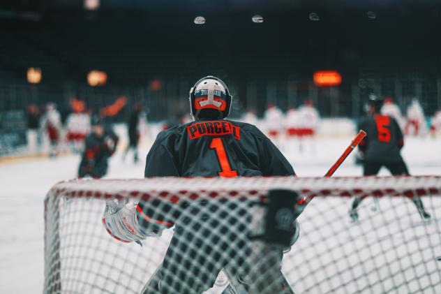 Youngstown Phantoms goaltender Colin Purcell
