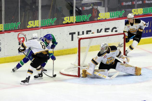 Brandon Wheat Kings goaltender Ethan Kruger against the Swift Current Broncos