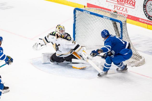 Stefan Fournier of the Wichita Thunder scores against the Wheeling Nailers