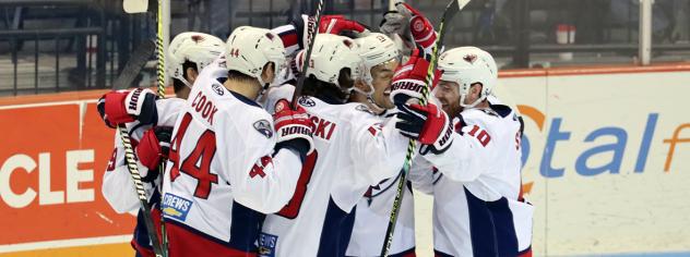 South Carolina Stingrays react after a goal against the Fort Wayne Komets