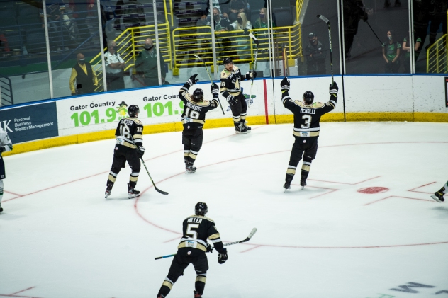 Wheeling Nailers react after a goal