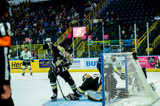 Wheeling Nailers defenseman Patrick McNally vs. the Florida Everblades