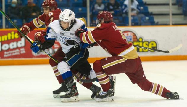 Saint John Sea Dogs try to fight through the Acadie-Bathurst Titan