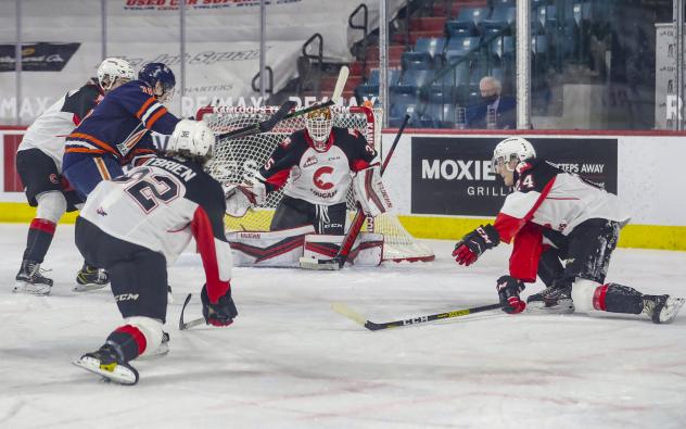 Prince George Cougars goaltender Taylor Gauthier vs. the Kamloops Blazers