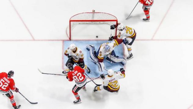Rockford IceHogs score against the Chicago Wolves