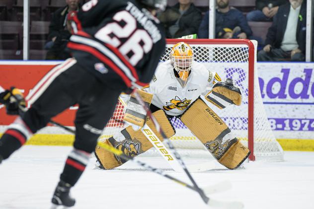 Sarnia Sting goaltender Ben Gaudreau