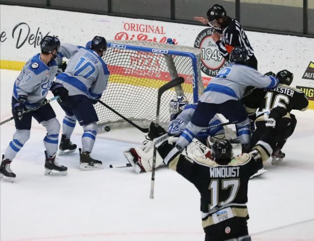 Wheeling Nailers react after a goal against the Jacksonville Icemen