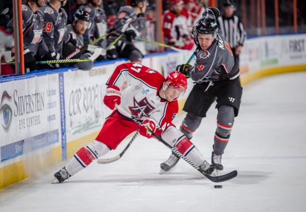 William Lochead of the Allen Americans vs. the Kansas City Mavericks