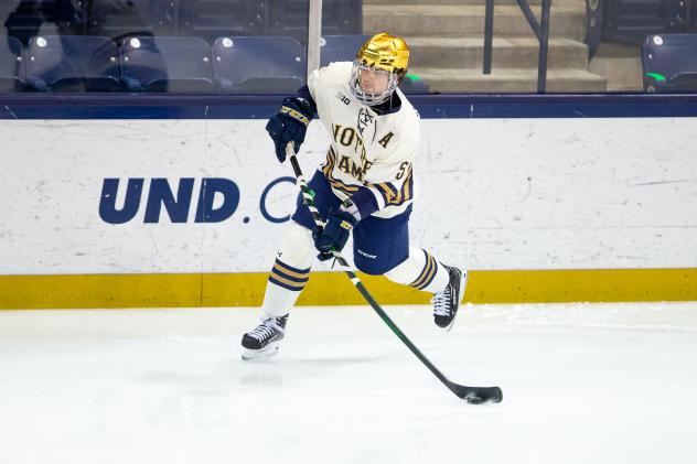 Defenseman Matt Hellickson with the University of Notre Dame