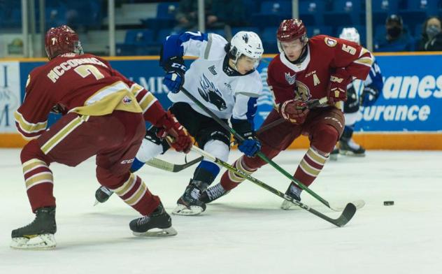 Saint John Sea Dogs battle the Acadie-Bathurst Titan