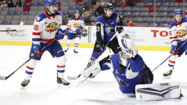 Saint John Sea Dogs goaltender Zachary Emond vs. the Moncton Wildcats