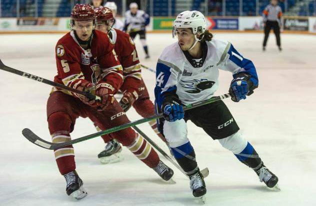 Saint John Sea Dogs centre Ryan Francis (right) vs. the Acadie-Bathurst Titan