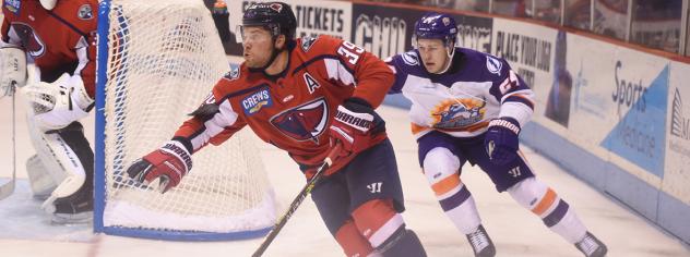 South Carolina Stingrays forward Dan DeSalvo vs. the Orlando Solar Bears